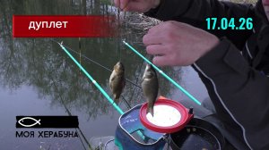 Херабуна. Карасёвый дуплет.