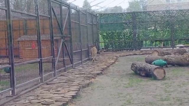 WBBD6313 Видео от Ивана 26.04.2026