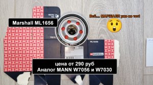 Распил масляного фильтра Marshall ML1656. Аналог MANN W7056