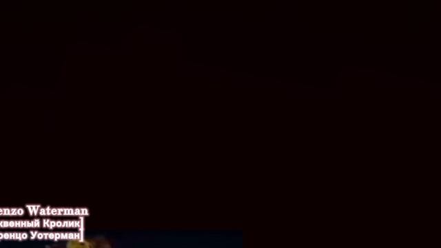 ЭДИТ ТЫКВЕННОГО КРОЛИКА [Лоренцо Уотерман]