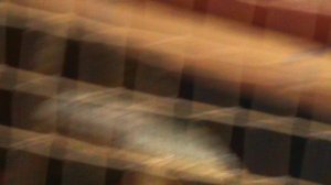 249)л ЛАЗАРЕВСКОЕ ПАРК