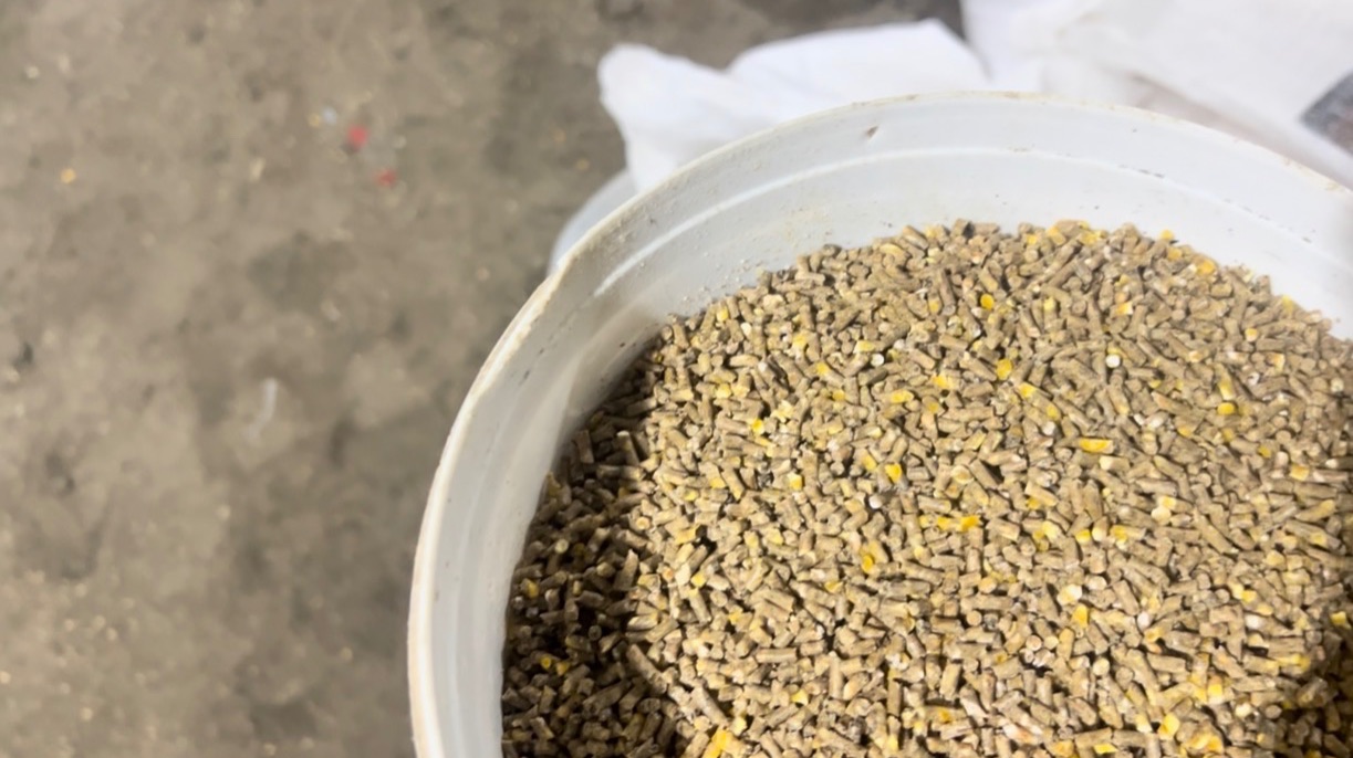 2,5 мм Изготовления Гранулированного Комбикорма Для Индейки Хайбрид Конвертер предстарт 0-4 недель