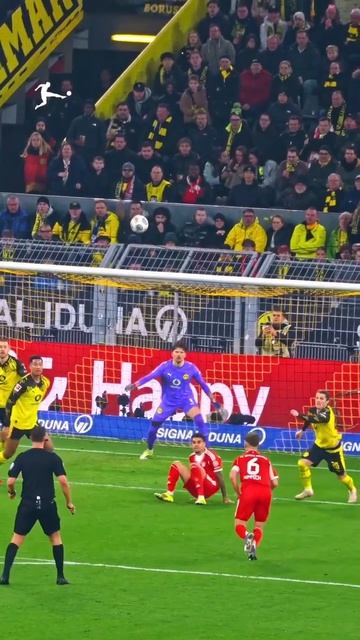 🤩🤩🤩🤩🤩🤩🤩🤩🤩🤩