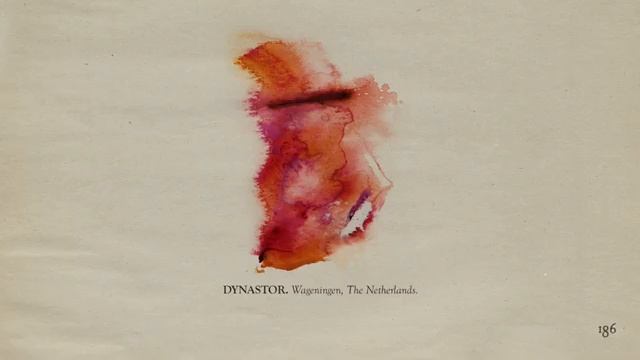 The Memoir - Page 186 Dynastor