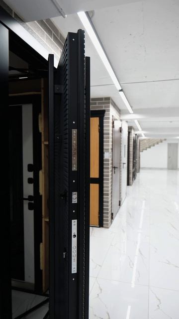 Обзор входной двери