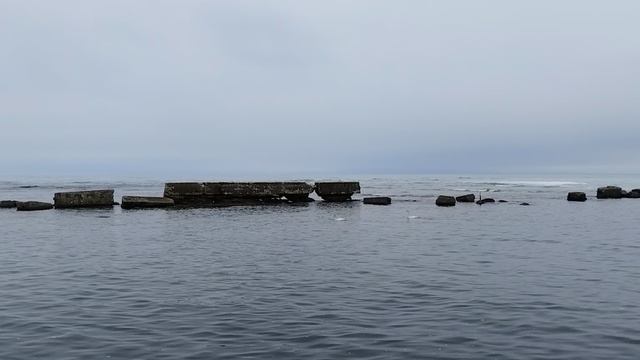 #26.04.26#пирс#пара лебедей#