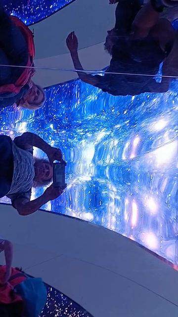 Один день в Москве, см описание, это предложение оказания услуг, 6