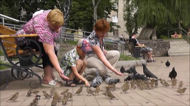 +  У природы нет. Воронеж.