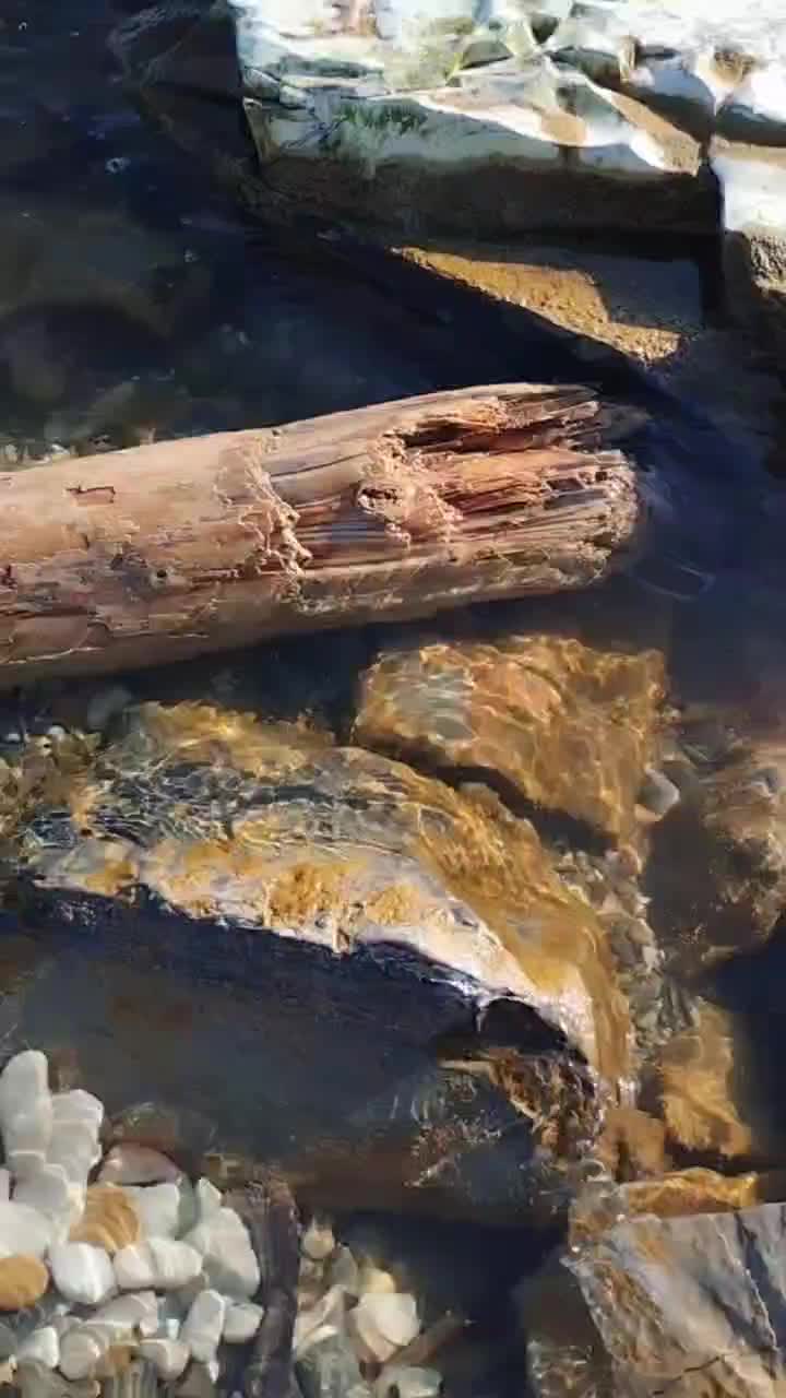 У нас уже лето! Вернулась жара, вернулось солнышко ☀