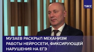 Музаев раскрыл механизм работы нейросети, фиксирующей нарушения на ЕГЭ