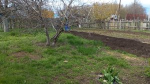 ПРИШЛО ВРЕМЯ ПАХАТЬ.