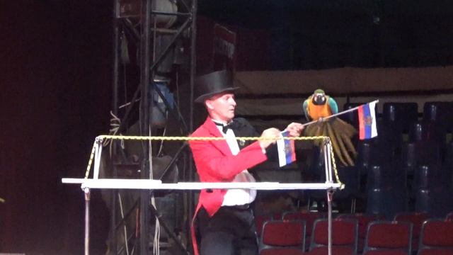 ВЛОГ： Настя первый раз в цирке. Танцующие медведи и мил