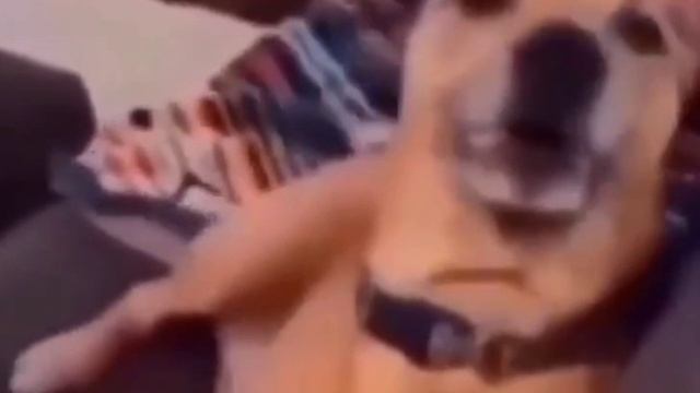 Я в свой выходной не могу определиться