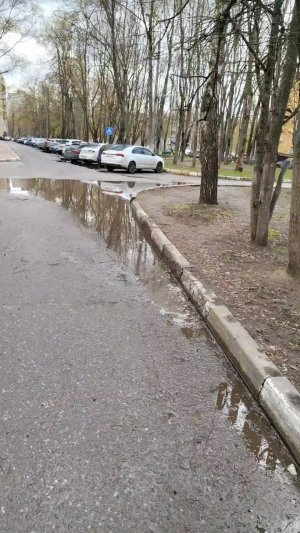 Воскресная прогулка