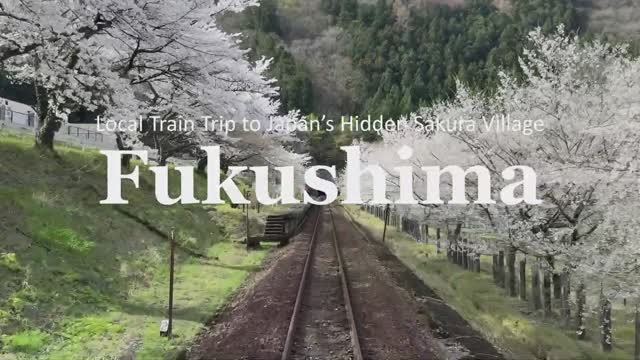 Весна в сельской Японии - Поездка на поезде в деревню, где цветут сакуры