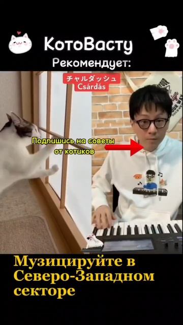 Всё о Васту и ведической астрологии на Телеграм канале Https://t.me/divyavastufedosova