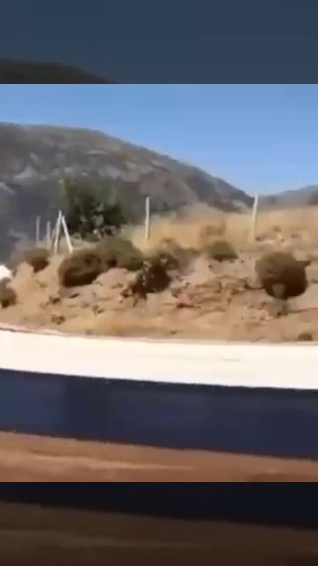 Когда ты подходишь к работе с разумом.