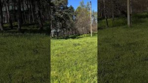 Христианка гуляет по парку и поет песни.