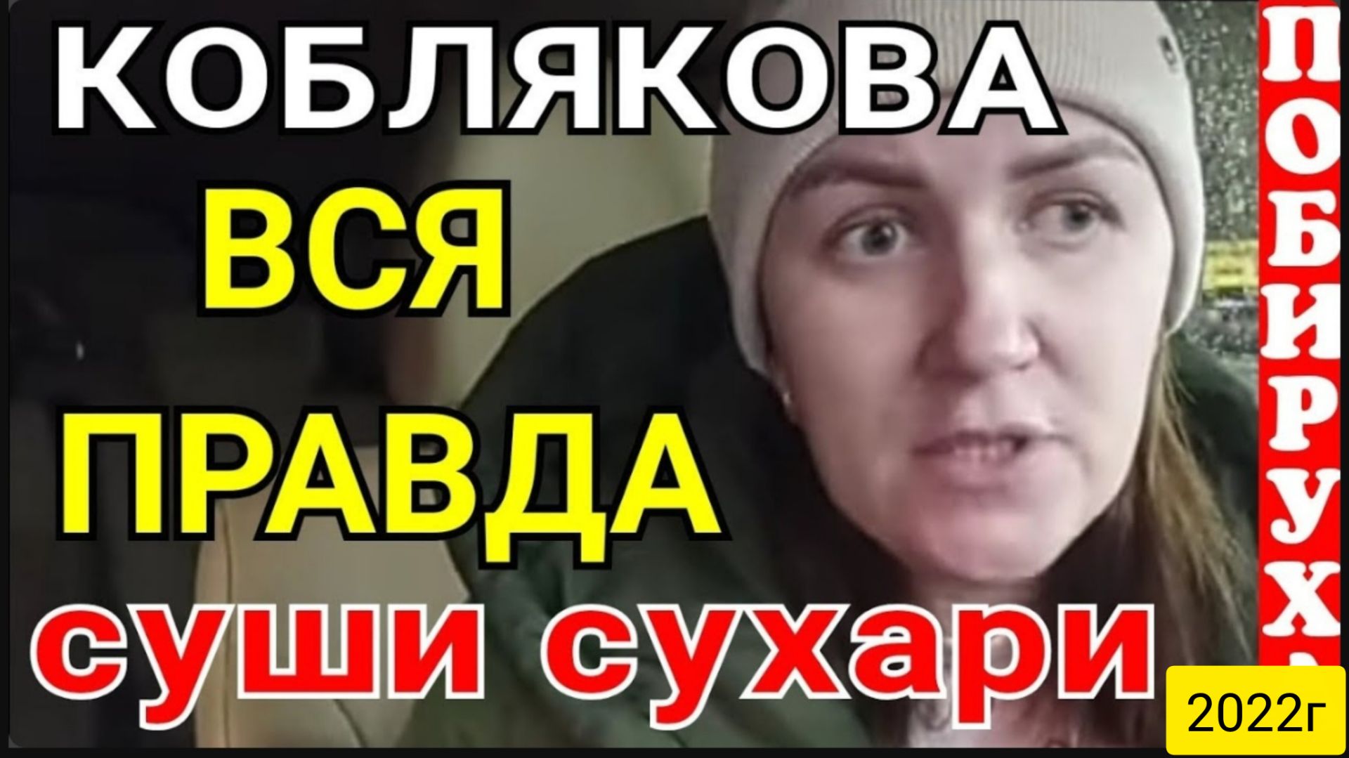Деревенский дневник очень многодетной мамы _Коблякова_Вся правда _Суши сухари_Обзор _