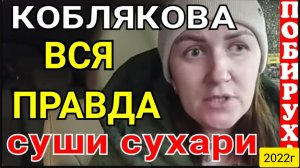 Деревенский дневник очень многодетной мамы _Коблякова_Вся правда _Суши сухари_Обзор _