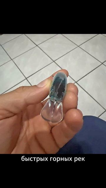 Копия - Smith Lourdish 95HS - Жерех / Море / Лососевые в горных реках - тонущий далеко летит - с Али