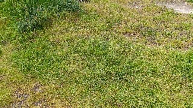 Так мирненько поели