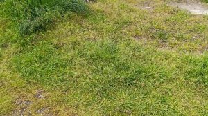 Так мирненько поели