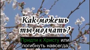 Ксения Лапицкая - Как можешь ты молчать_v2(-)