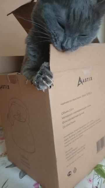 РАСПАКОВКА