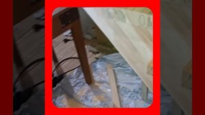 1000057093.mp4 (Собака наблюдает за устройством лестницы на 2-ой этаж в доме А-фрейм)