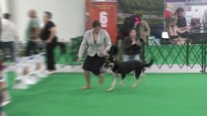 Моншер Вирсаль Пиранья