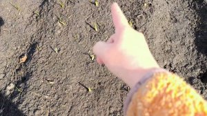 Такое на даче впервые 😱.
Река взбунтовалась.