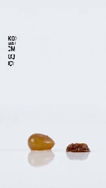 МОЛОКО ОБВОЛАКИВАЕТ ГОРЛО!?