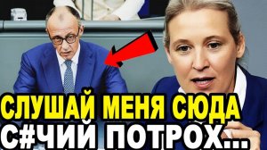 БУНДЕСТАГ КРИЧАЛ БРАВО! Вайдель СТЕРЛА В ПОРОШОК Мерца в Прямом Эфире!