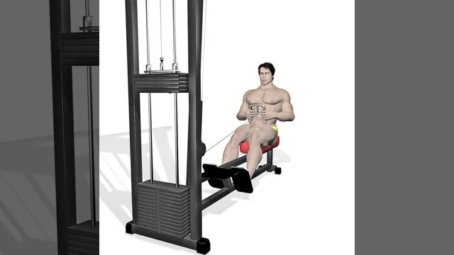 Тренировка спины с Арнольдом