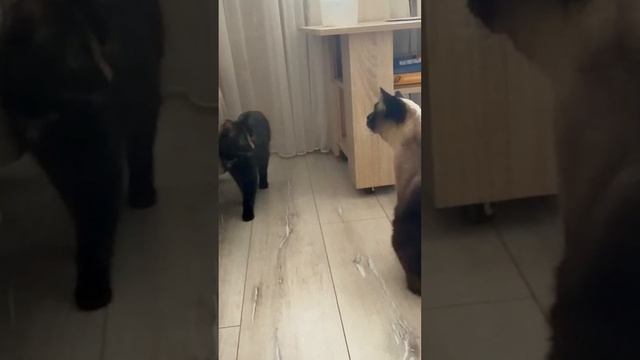 Copy_325C3EE5-EB3C-4CC3-8F11-5FA5120B0CB4