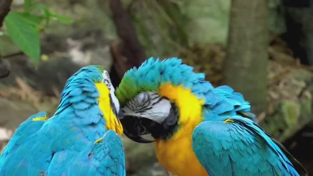 МУЗЫКА ДЛЯ РАССЛАБЛЕНИЯ