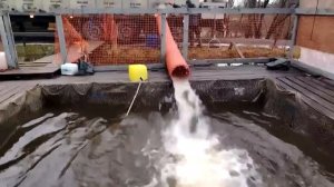 26.04.26 г. РК Волна.