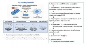 Фармакологические инновации в терапии туберкулеза