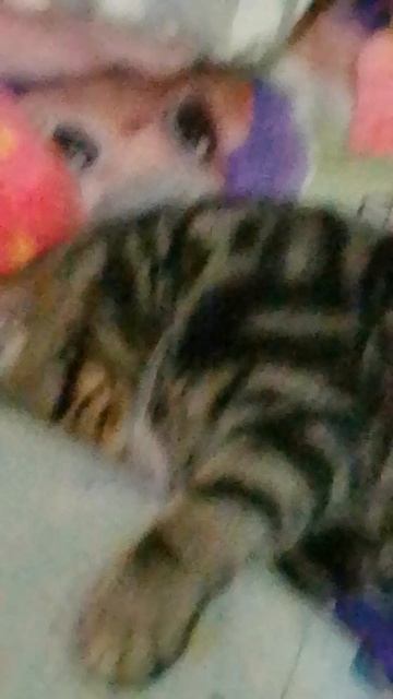 😃😃😃😍😍😍😍😍😍😍😍😍