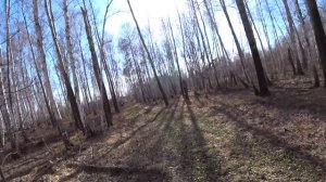 Подготовка уток к охоте. Проверяю лесные болота