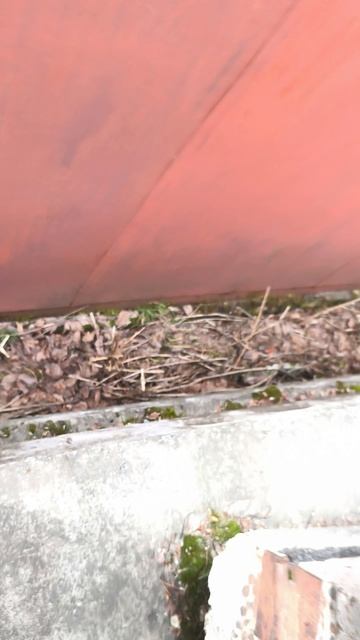 паркур 1-часть