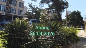 Анапа 26.04.2026 Коротко