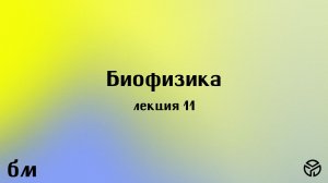 Биофизика, 11 лекция, Коваленко Н. В., 17.04.2026