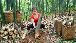 Собираю корни бамбука, танжерины, капусту. Варю сладкую кукурузу для продажи. Нхат. Таймлапс