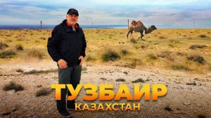 Тузбаир | За порогом