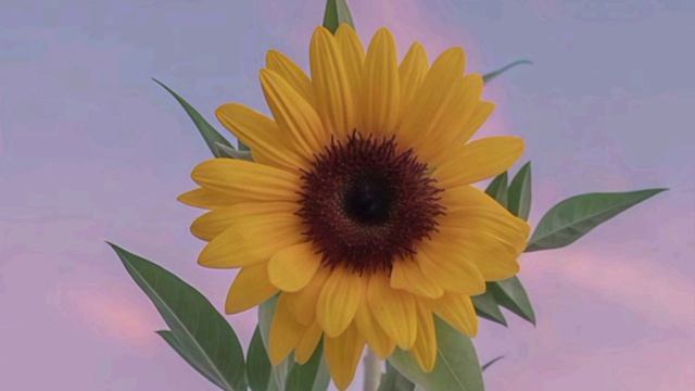 сеанс рейки для исцеления причин лишнего веса.5 исцеление прошлого