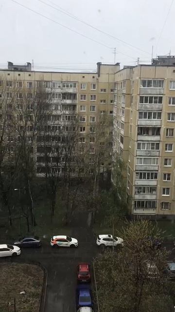 Санкт-Петербург. 26.04.2026. Снегопад