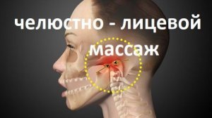 ЧЕЛЮСТНО-ЛИЦЕВОЙ МАССАЖ (ЧАСТЬ 1)2026-04-26 (01-53-05)