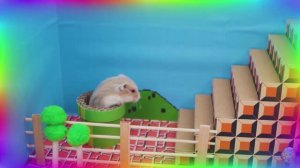 Приключения хомячка — Великое путешествие в мусорном вагоне! часть 5